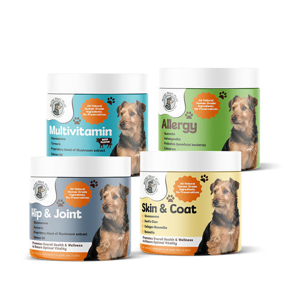 Canine Core Wellness Stack™ – Nutripawsplus