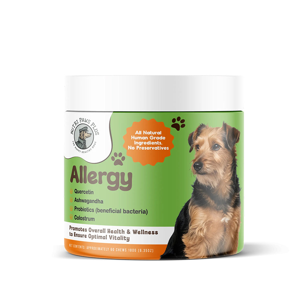 Allergy Stack™ – Nutripawsplus