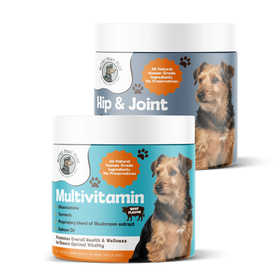 Senior Care Wellness Stack™