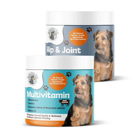 Senior Care Wellness Stack™